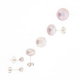 Pearl Stud Earrings Pink - The Courthouse Collection