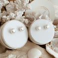Pearl Stud Earrings White | The Courthouse Collection