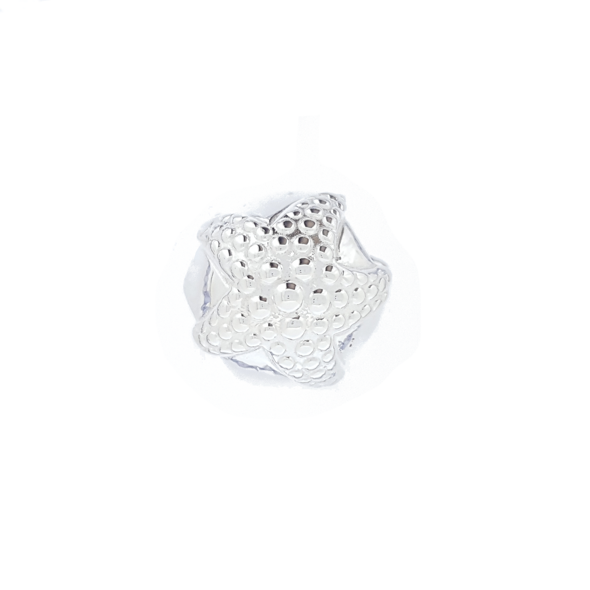 Charm 'Starfish' | The Courthouse Collection